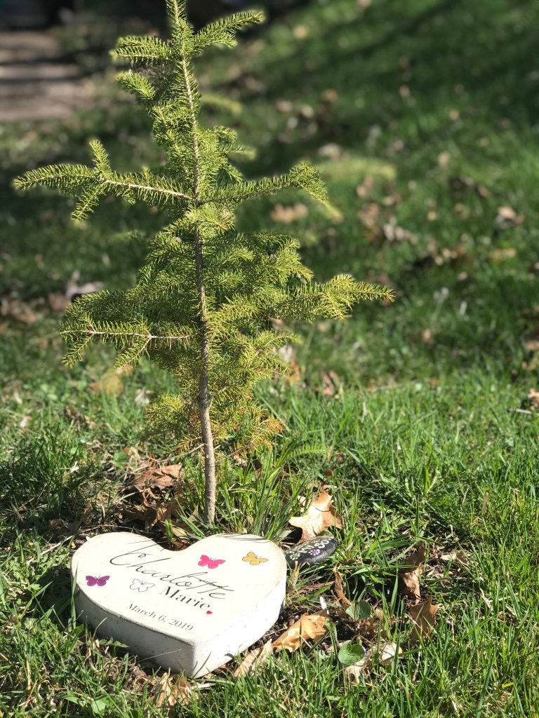 This image has an empty alt attribute; its file name is cayla1-w6ftfbpcs9i-unsplash.jpg